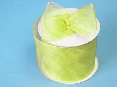 25 Yard 2.75" DIY Apple Green Organza Ribbon With Satin Edges For Craft Dress Wedding