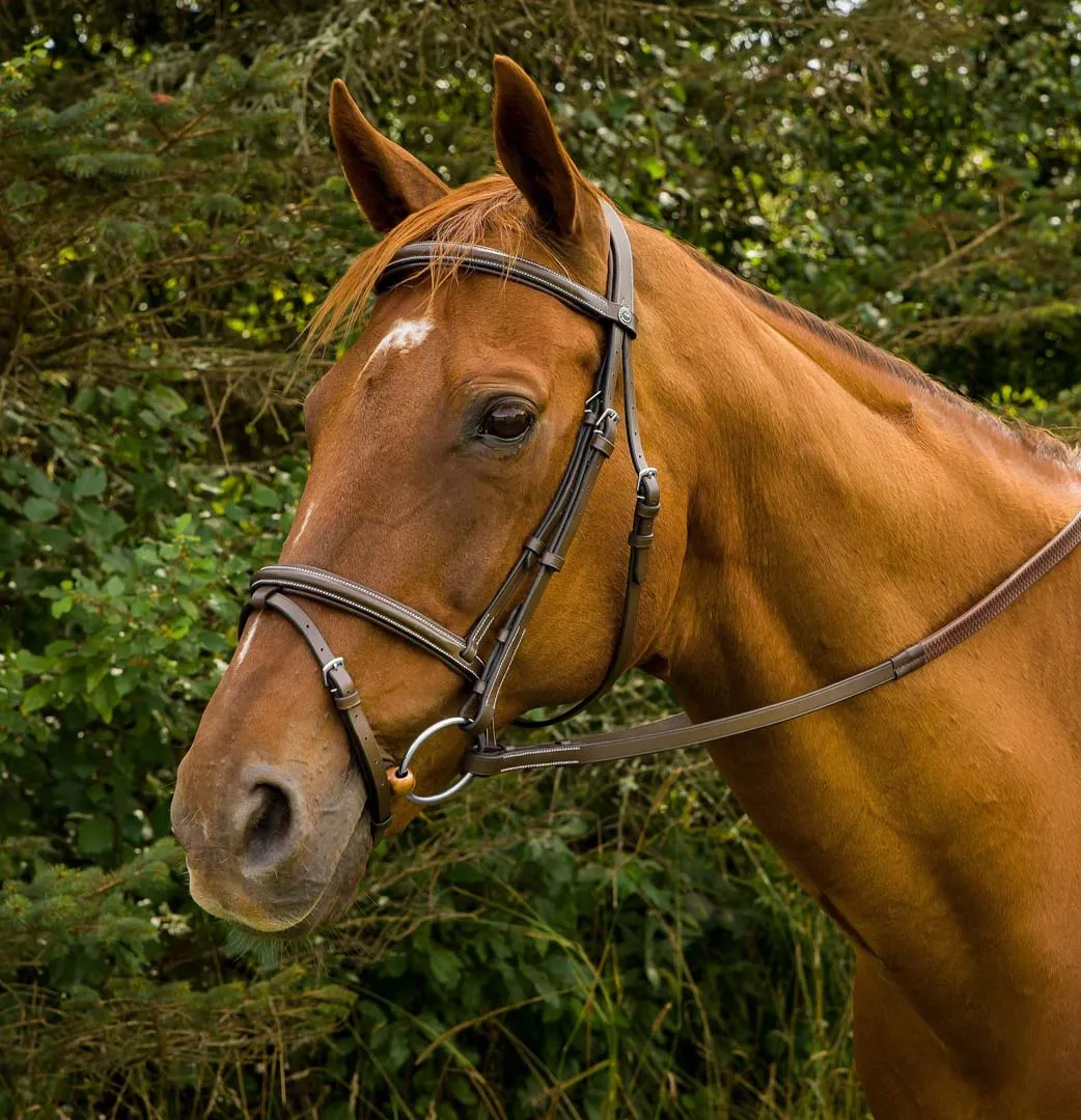 Henri de Rivel Pro Mono Crown Bridle with Flash and Rubber Reins